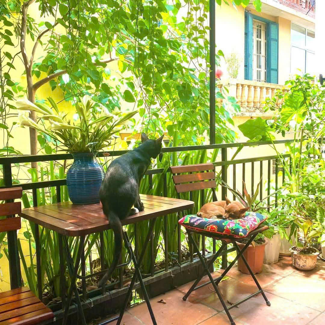 ĐẶNG TẤT - BIỆT THỰ - LÔ GÓC - 3 THOÁNG - BALCON VINTAGE - 130M² 8 TỈ