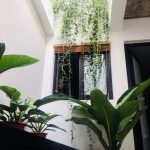  50m2 - 3
