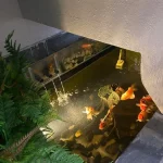  50m2 - 6