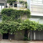  90m2 - 1