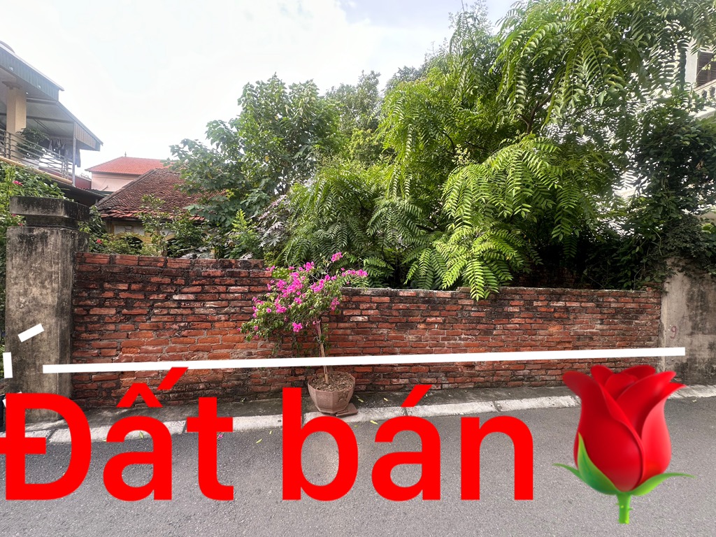 Bán gấp đất đẹp 63m² – CỰC HIẾM! Ngõ thông – Ô tô 7 chỗ vào tận cửa – Sổ đỏ chính chủ – Chỉ từ 5 tỷ!