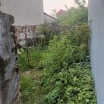 50m2 - 1