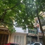  50m2 - 3