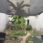  101m2 - 4