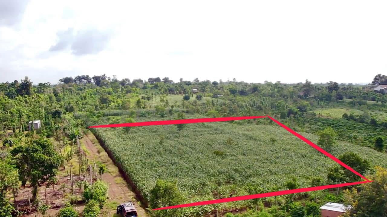 Bán 3.000m2 cạnh đường 29 thị xã Buôn Hồ. Giá; 900tr. Lh 0918.76.9977