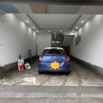  65m2 - 1