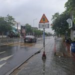  100m2 - 5