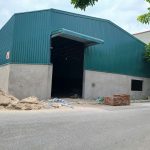  1000m2 - 4