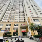  40m2 - 1