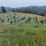  30000m2 - 5