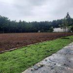  250m2 - 1