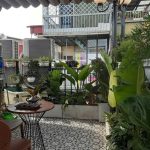  40m2 - 1