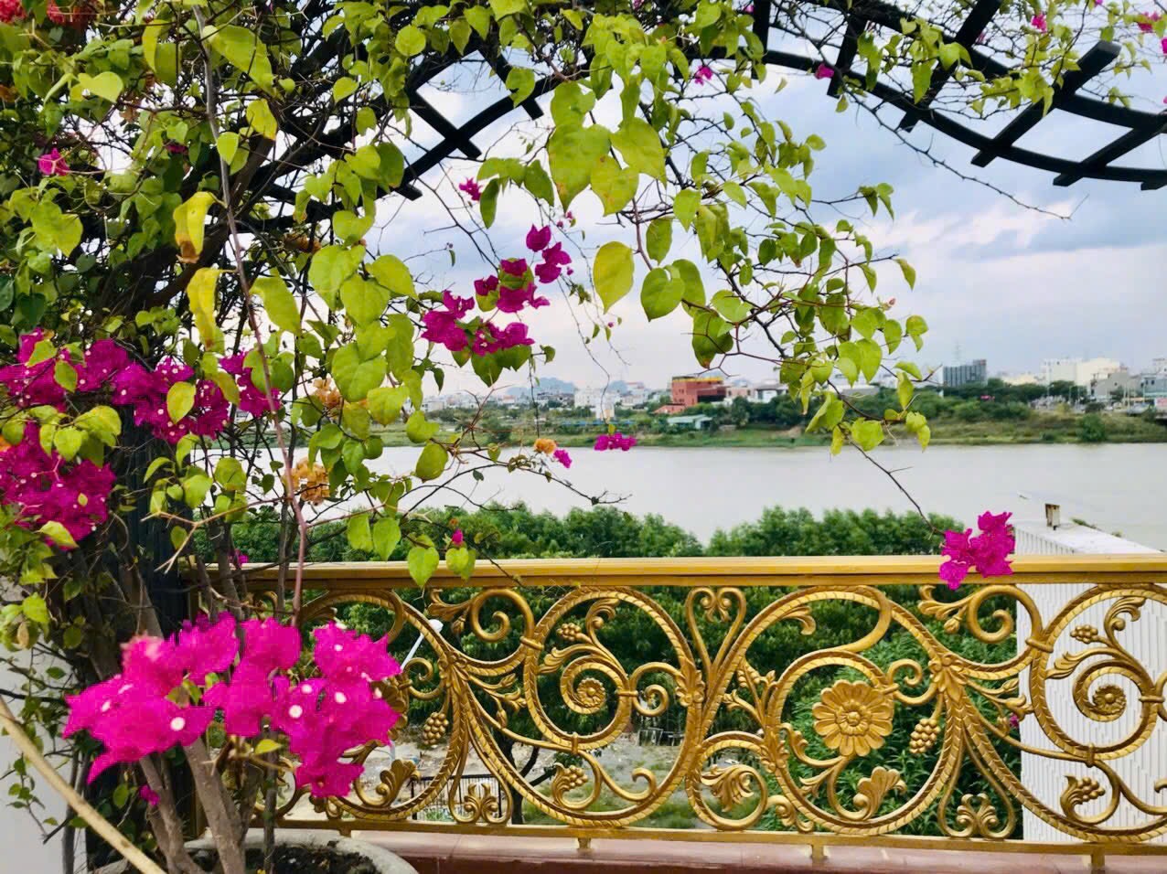 BÁN SIÊU BIỆT THỰ VIP HẢI CHÂU - ĐÀ NẴNG