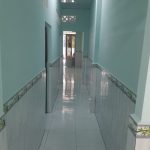  84m2 - 4