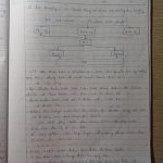  55m2 - 3
