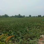  10000m2 - 3