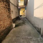  50m2 - 5
