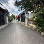  100m2 - 6