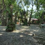  1100m2 - 3