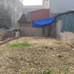  55m2 - 3