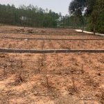  180m2 - 5