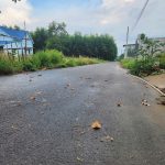  100m2 - 4