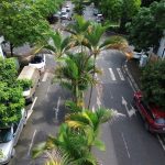  100m2 - 1