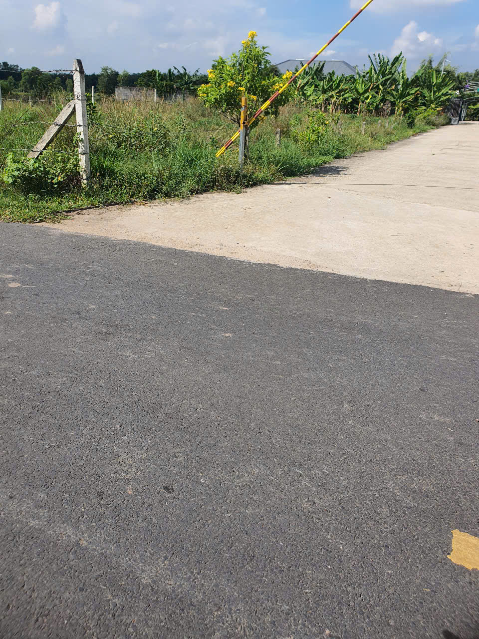 Chính Chủ Bán Lô Đất tại An Điền 045, Phường An Điền, Thành Phố Bến Cát, Tỉnh Bình Dương.
