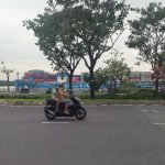  100m2 - 1