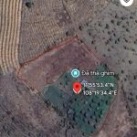 6000m2