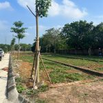 100m2 - 6