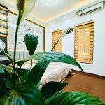  50m2 - 6