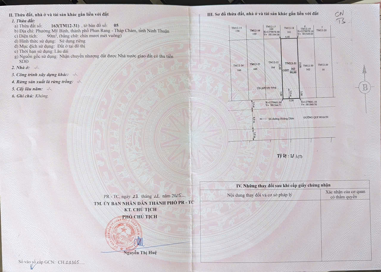 Cực phẩm K1 – Lô đất đối lưng Trần Nhân Tông, chỉ cách công viên 20m – Giá cực tốt!
