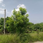  4000m2 - 5