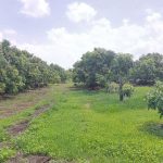  4000m2 - 4