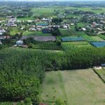  100m2 - 4