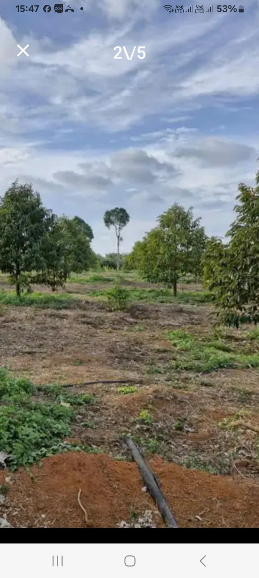 300m2