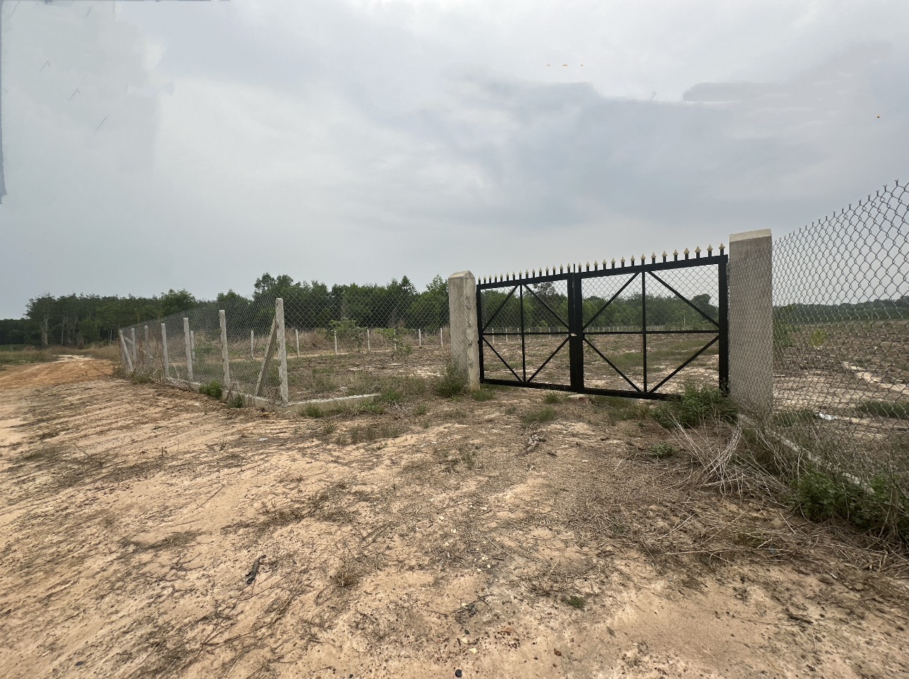 Bán 23.000m2 đất 3 mặt tiền đường đất xã Minh hòa, Dầu tiếng, Bình Dương