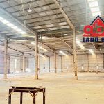 5000m2 - 6