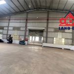  6000m2 - 5