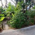  800m2 - 3