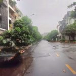  80m2 - 5