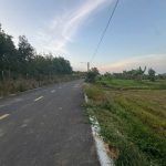  10000m2 - 5