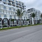  84m2 - 3