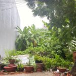  100m2 - 1