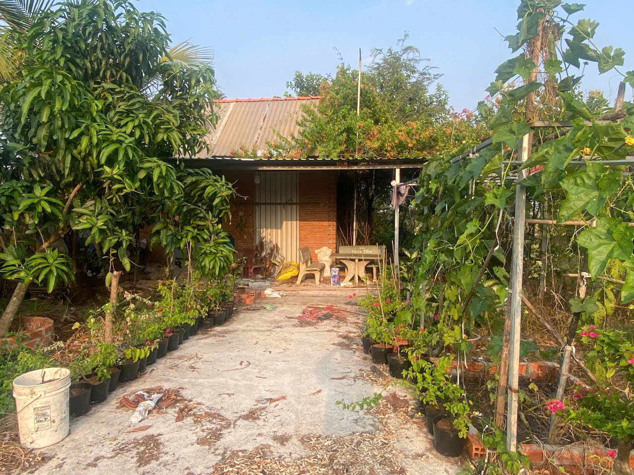 Nhà Vườn 1022m2 có 2,3 tỷ Kênh Đông Trung Lâp Thượng Củ Chi TP.HCM