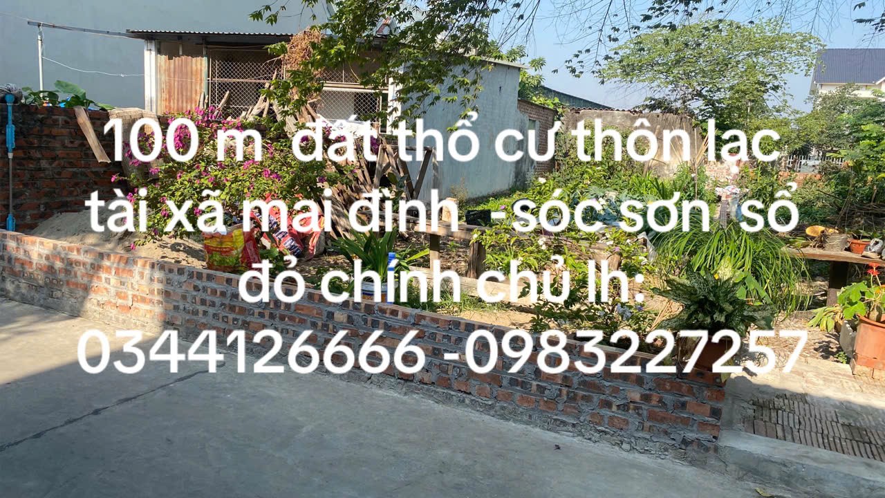 VỊ TRÍ ĐẸP - GIÁ TỐT- Chính Chủ Cần Bán Nhanh Đất Tại Lạc Tài, Mai Đình, Sóc Sơn, Hà Nội