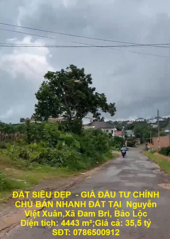 ĐẤT SIÊU ĐẸP - GIÁ ĐẦU TƯ CHÍNH CHỦ BÁN NHANH ĐẤT TẠI Nguyễn Việt Xuân,Xã Đam Bri, Bảo Lộc