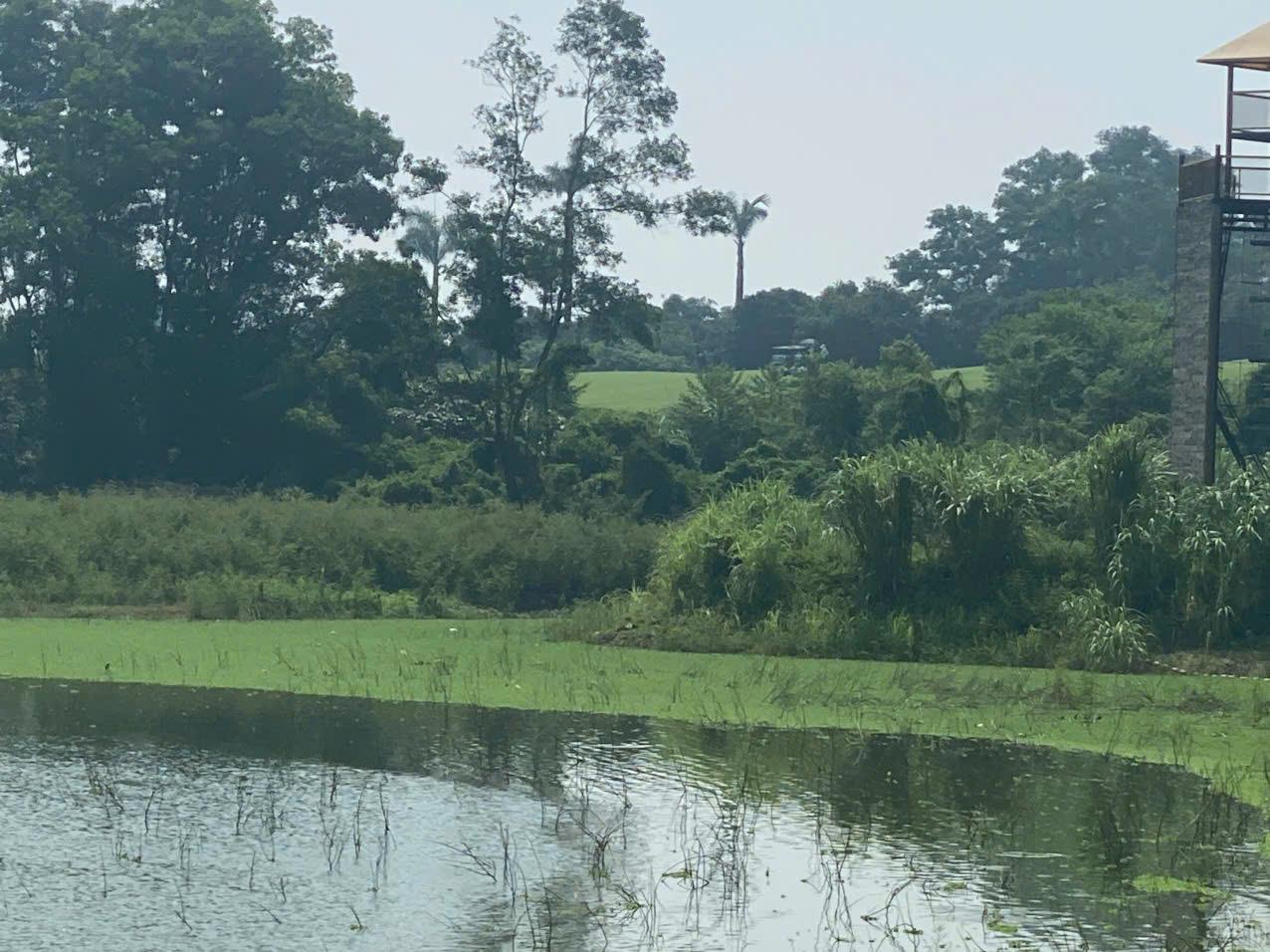 Đất siêu đẹp ở HỒ VĂN SƠN View Sân Gol Sky Lake , Nam Phương Tiến, Chương Mỹ, Hà Nội đang chờ người yêu thích đầu tư.