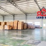  5500m2 - 6
